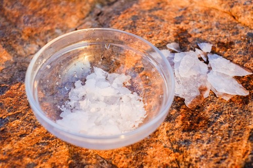 Salt Expression