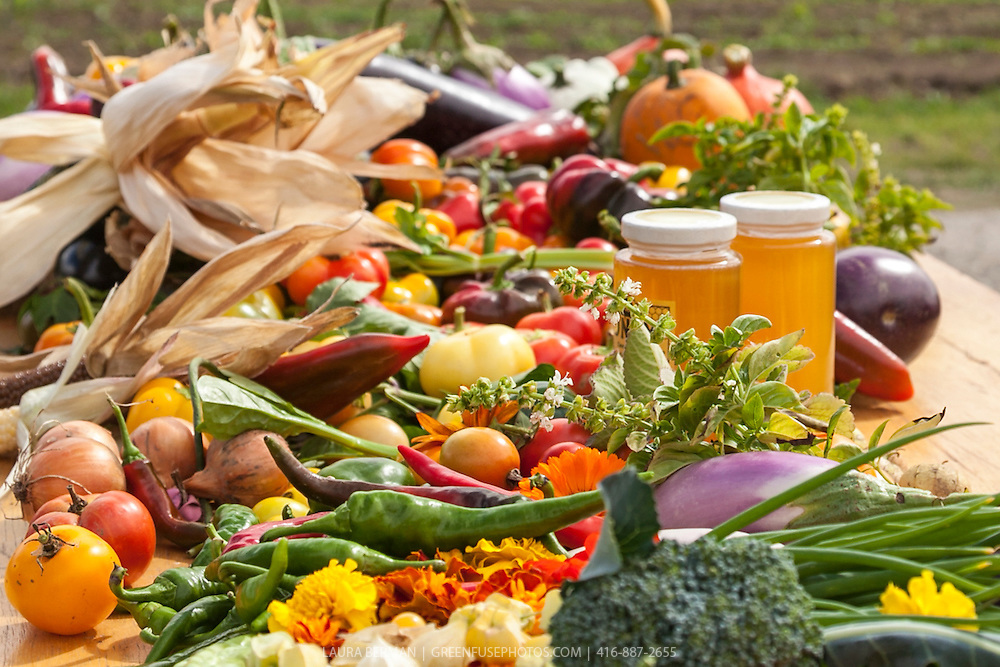 Heirloom Vegetable Harvest Table